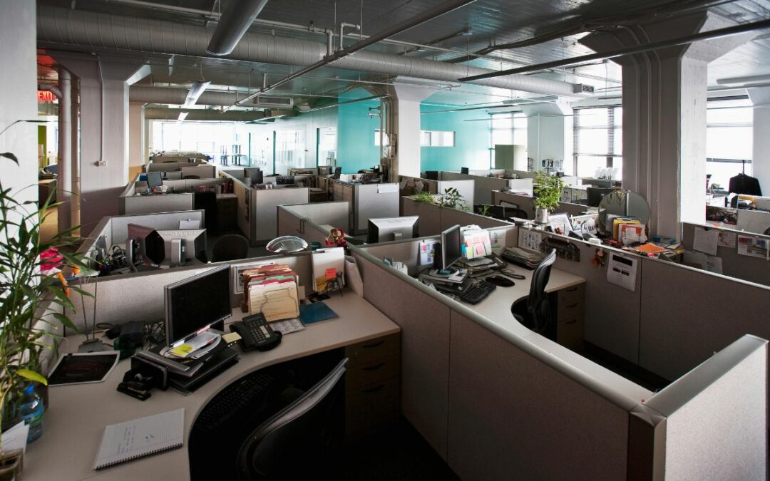 6 x 6 office cubicles featured image