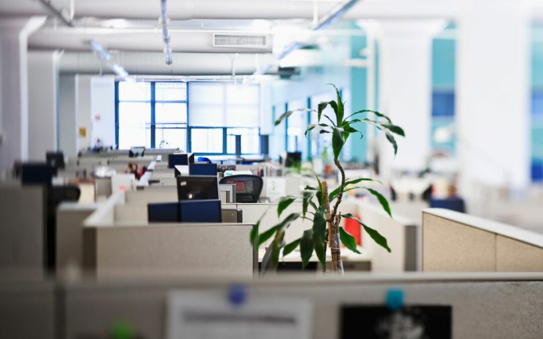 Modern Office Cubicles: Enhancing Productivity