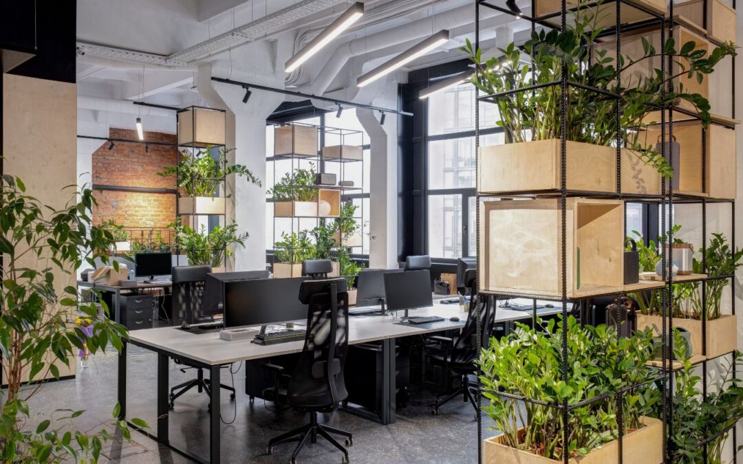 Furniture Store Massachusetts: Design Consultation
