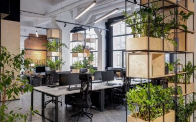 Furniture Store Massachusetts: Design Consultation
